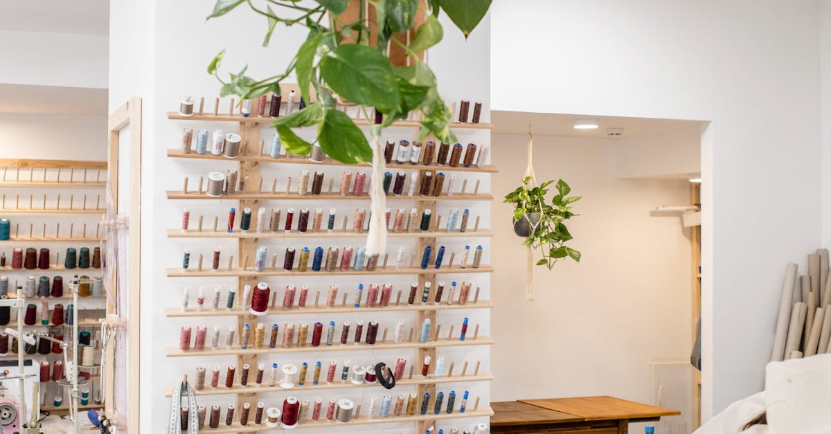 Innovations in Ergonomic Office Equipment: What Brisbane Clients Should Consider