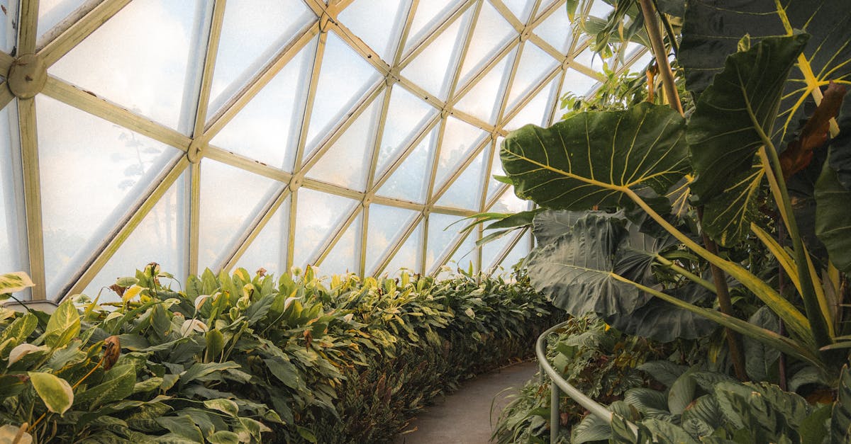 The Role of Insulation in Sustainable Energy Practices